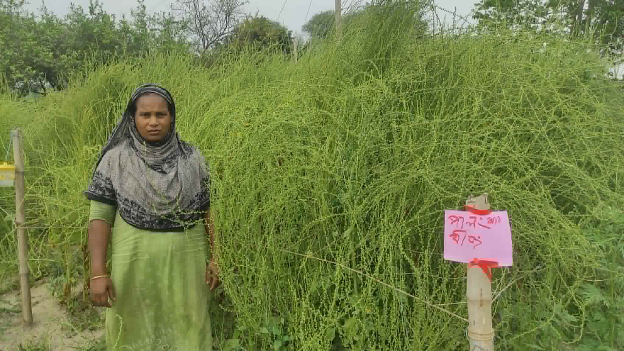The Success Story of Lipi Begum